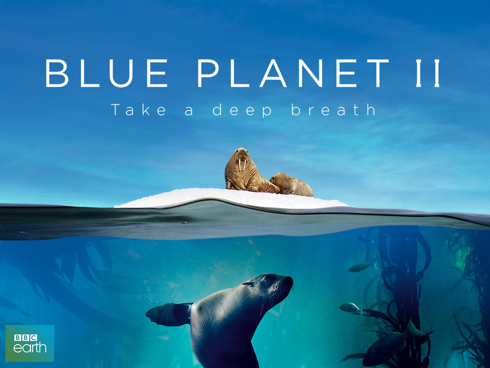 Watch Blue Planet II | Prime Video- best documentaries
