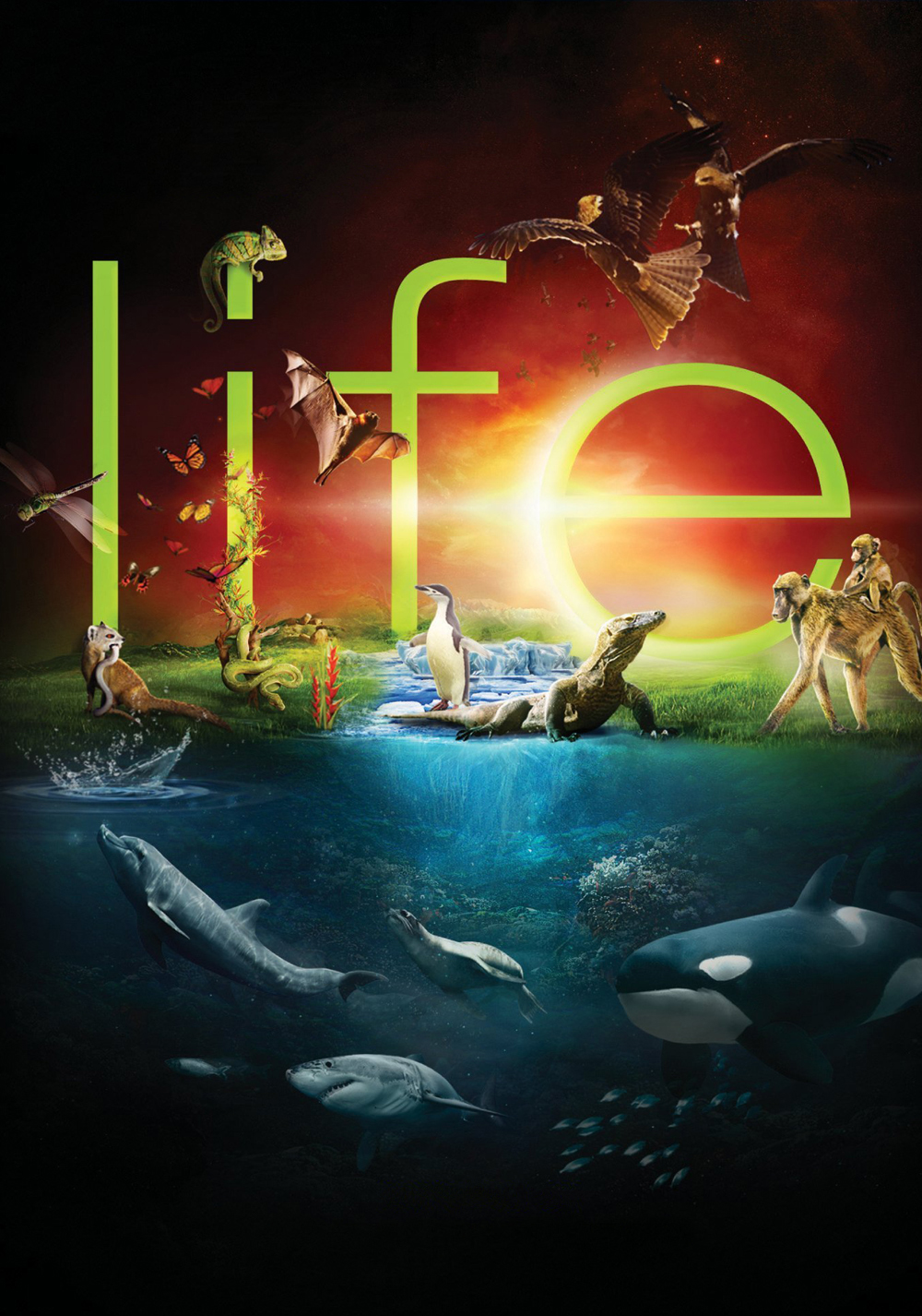 Life (TV Mini Series 2009) - IMDb-Best Documentaries by David Attenborough